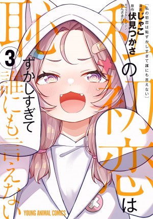 私の初恋は恥ずかしすぎて誰にも言えない 3